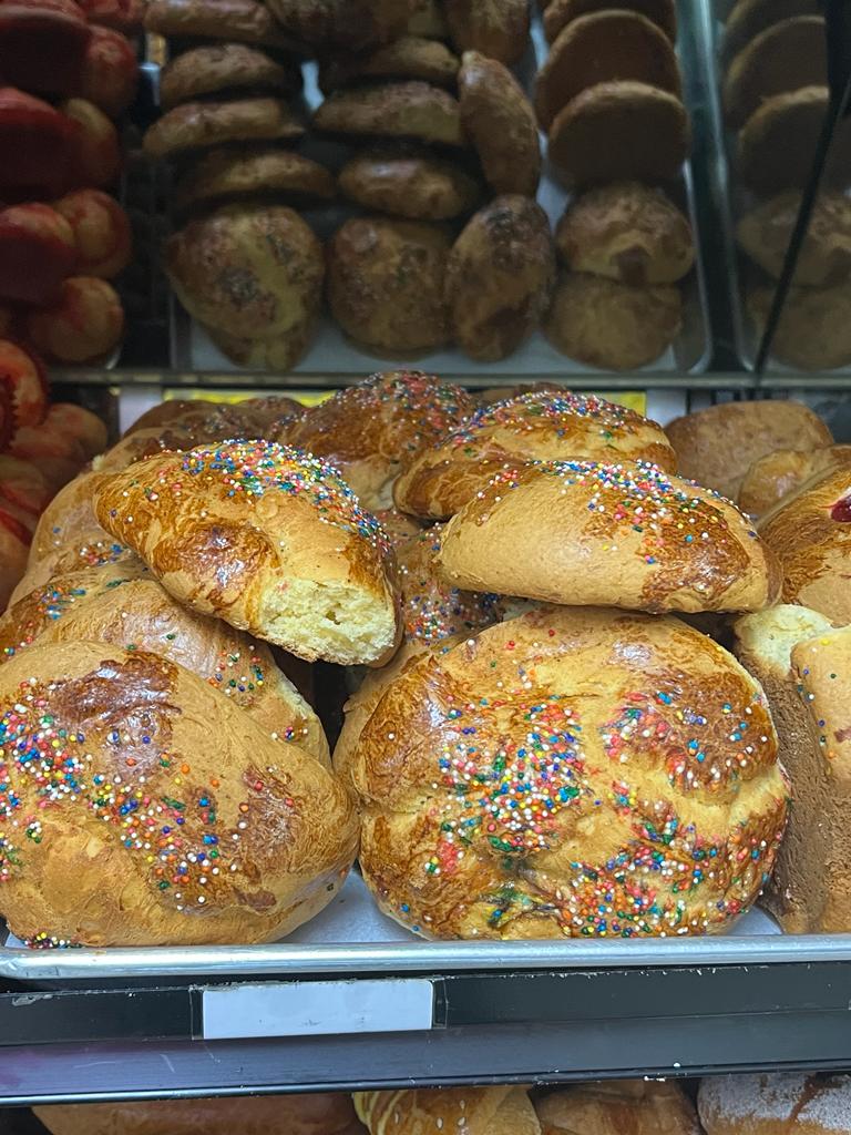 WhatsApp Image 2023-12-02 at 09.47.02